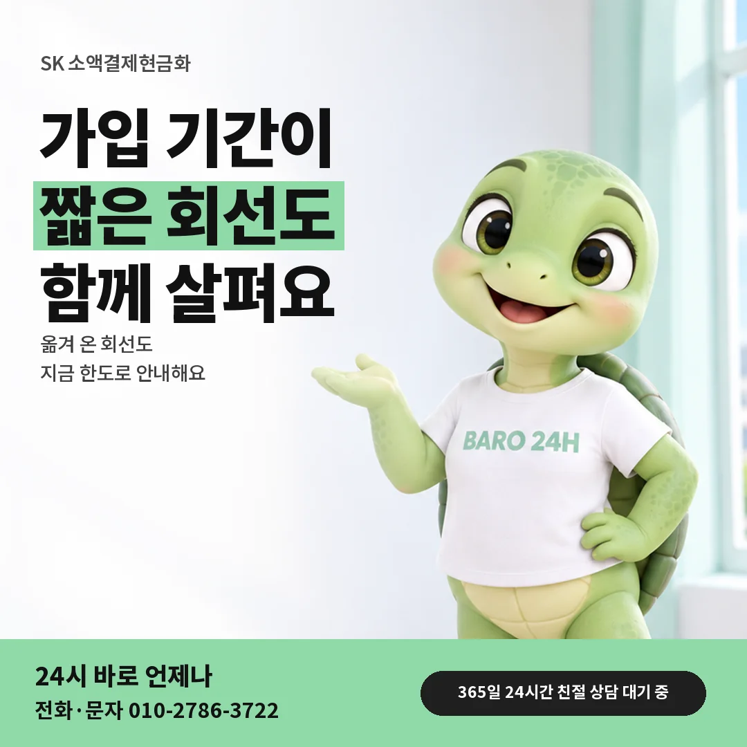 휴대폰을 보며 웃는 BARO 24H 티셔츠를 입은 3D 거북이 캐릭터 옆에 「SK 가입 기간별 한도 안내」 제목을 얹은 안내 카드